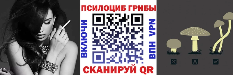 Псилоцибиновые грибы Psilocybine cubensis  Заволжск 
