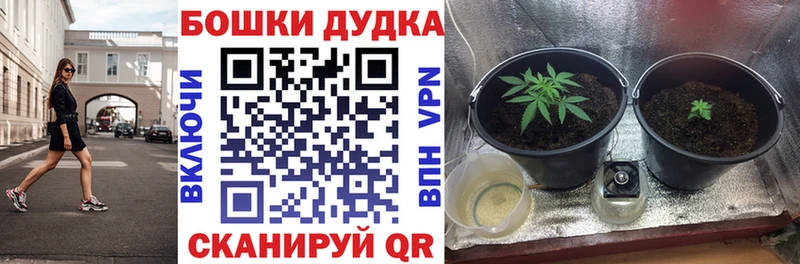 Конопля Ganja  Заволжск 
